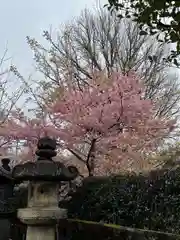 上野東照宮の自然