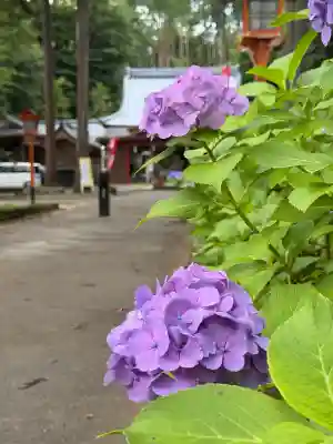 賀茂神社(福井県)