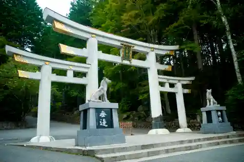 三峯神社の鳥居