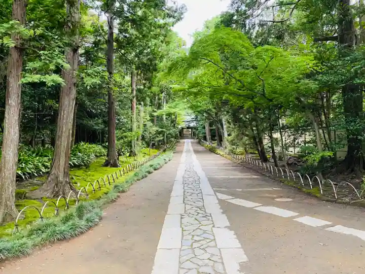 寿福寺(神奈川県)