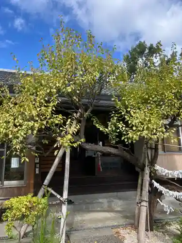 徳寿院(神奈川県)