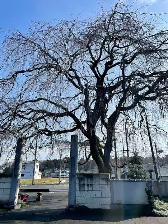 台林寺(栃木県)