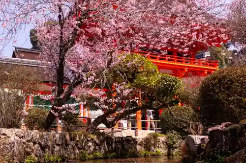 賀茂別雷神社（上賀茂神社）(京都府)