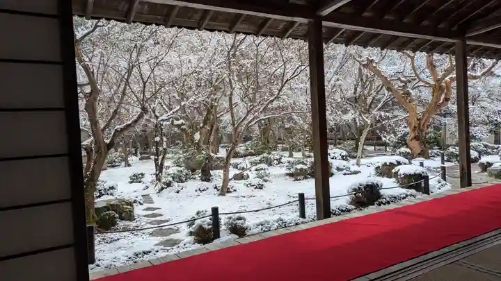 圓光寺(京都府)