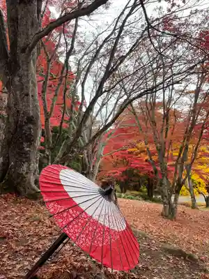 土津神社｜こどもと出世の神さま(福島県)