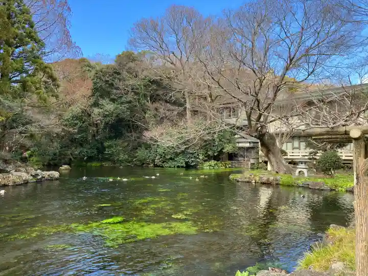 富士山本宮浅間大社(静岡県)