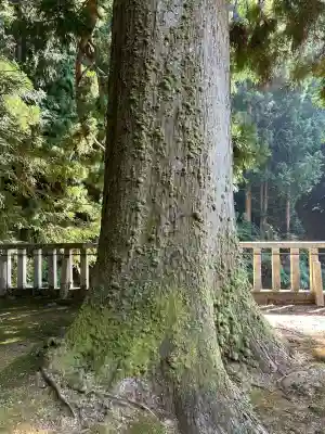 天一神社(奈良県)