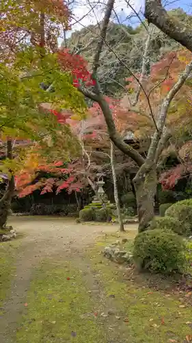 勝持寺（花の寺）(京都府)