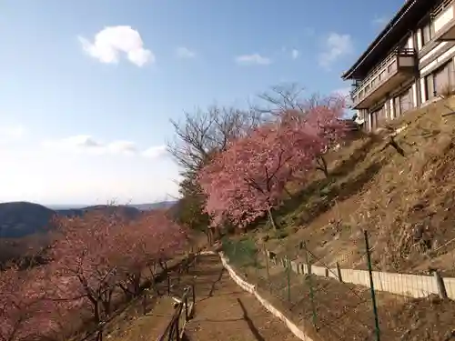 楽法寺（雨引観音）の景色