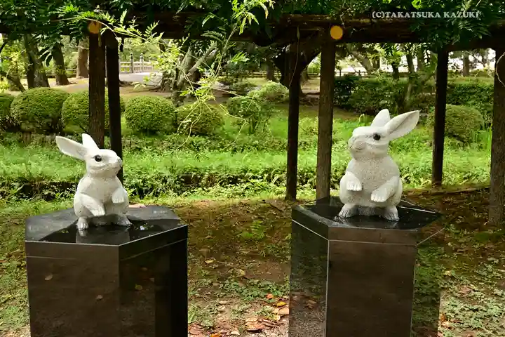 出雲大社の狛犬