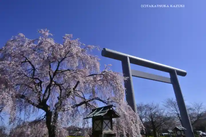 櫻木神社(千葉県)