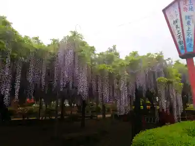 箭弓稲荷神社の{uncategorized: "未分類", other: "その他", undefined: "問題あり", building: "その他建物", grave: "お墓", sacred_gate: "鳥居", guardian: "狛犬", statue: "像", buddha: "仏像", history: "歴史", nature: "自然", garden: "庭園", animal: "動物", pagoda: "塔", temizu: "手水舎", mountain_gate: "山門・神門", sanctuary: "本殿・本堂", subordinate: "末社・摂社", art: "芸術", scenery: "景色", jizo: "地蔵", ema: "絵馬", goshuin: "御朱印", omikuji: "おみくじ", items: "授与品その他", amulet: "お守り", goshuincho: "御朱印帳", eats: "食事", festival: "お祭り", votive_dance: "神楽", shichigosan: "七五三参", wedding: "結婚式", experience: "体験その他", initially: "初詣", around: "周辺", anti_infection: "感染症対策"}