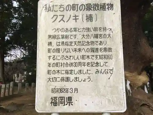 大分八幡宮(福岡県)