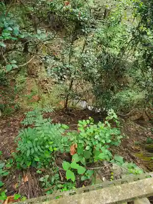 諏訪神社／文殊堂の自然