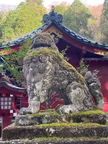 箱根神社の狛犬