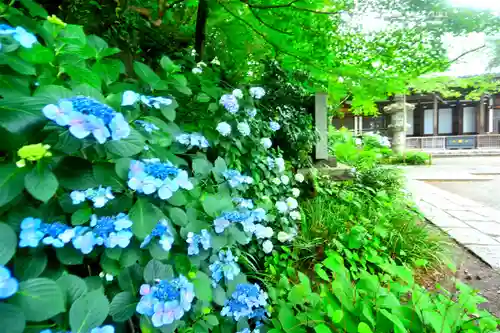 高幡不動尊　金剛寺(東京都)