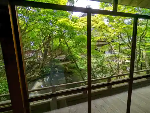 禅林寺（永観堂）(京都府)