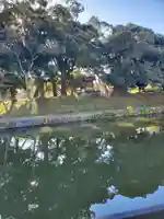 土屋神社の景色
