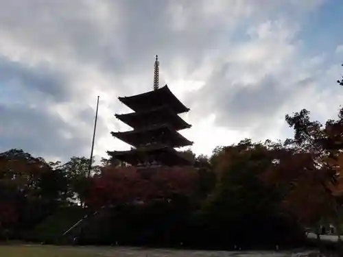 成相寺の塔