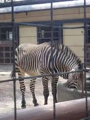 天照皇大神(神奈川県)