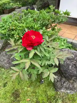 薬王寺(神奈川県)