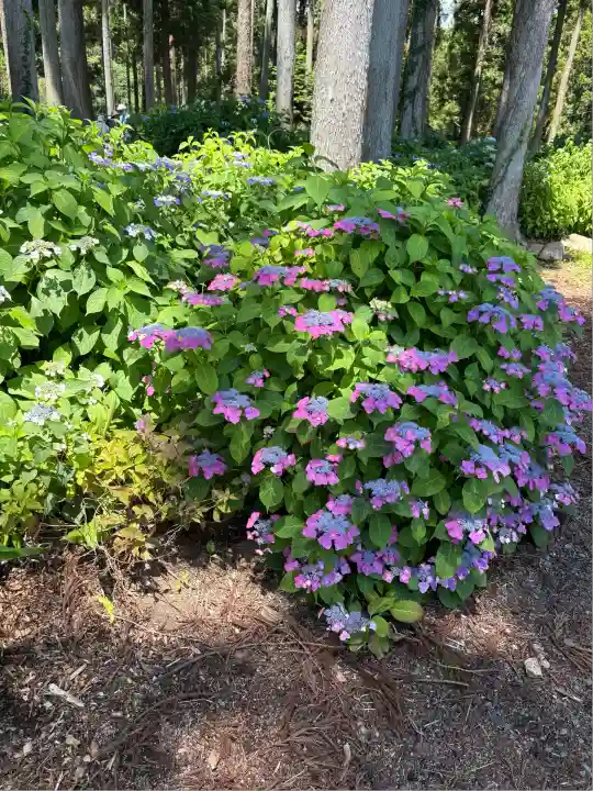 市杵島神社(高萩八幡宮境内社)(茨城県)