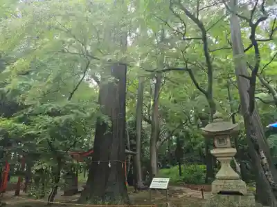 奥石神社(滋賀県)