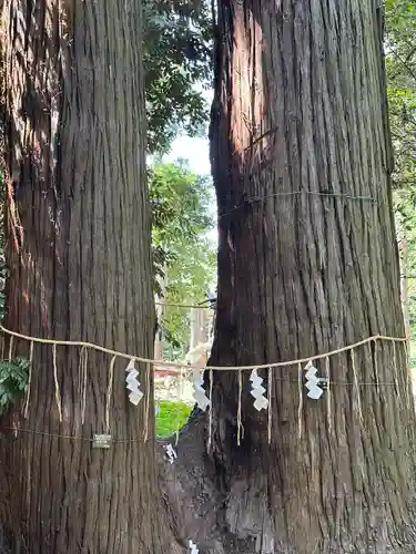 日吉神社(千葉県)