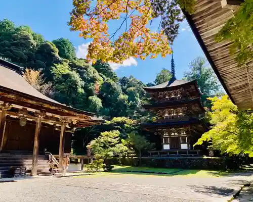 西明寺の建物その他