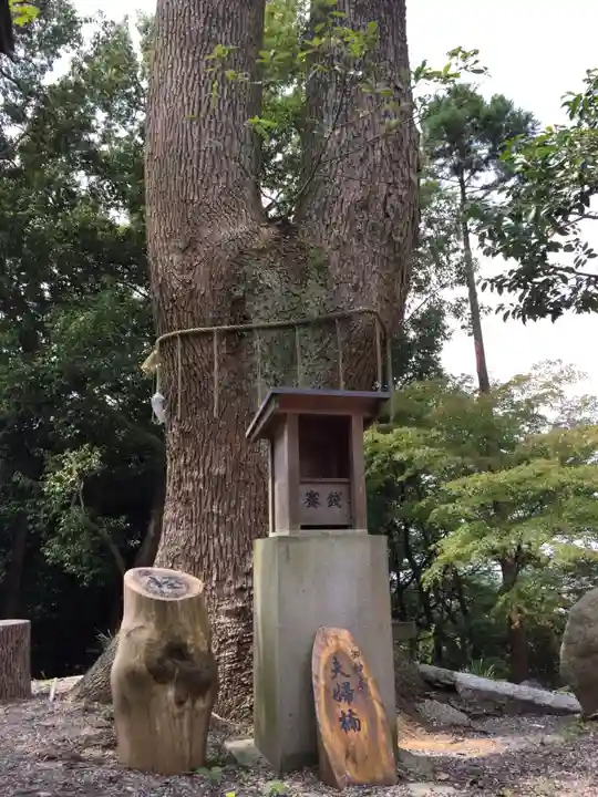 菅原神社の自然