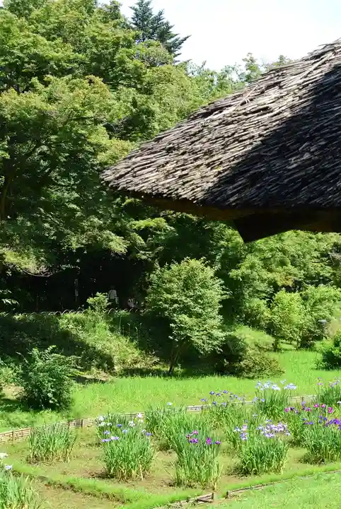 明治神宮(東京都)