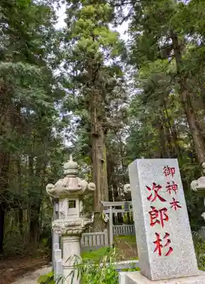 大杉神社 境内社 勝馬神社(茨城県)