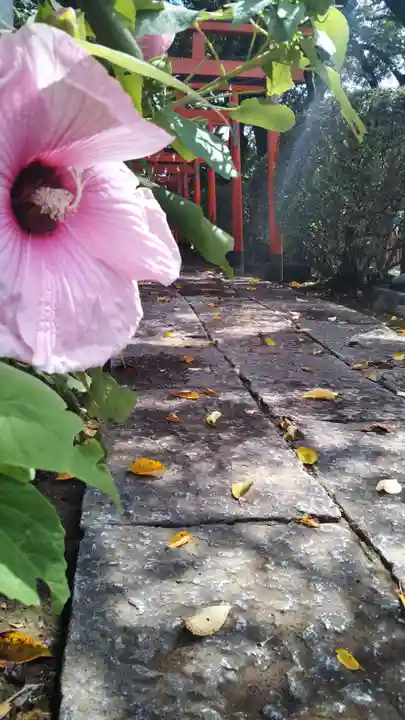 尾曳稲荷神社のその他建物