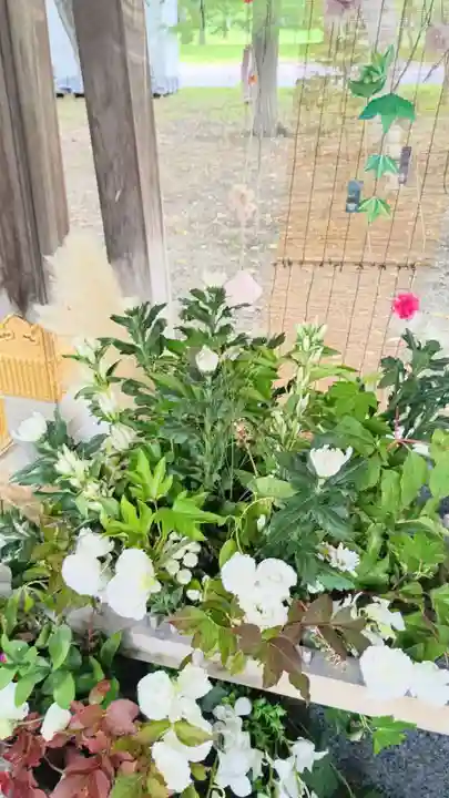 彌彦神社 (伊夜日子神社)(北海道)