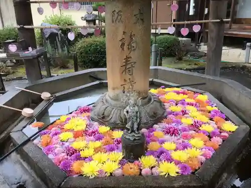三室戸寺の手水舎