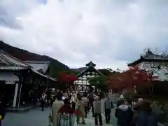 天龍寺の景色