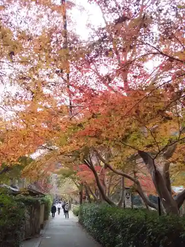 御髪神社の周辺