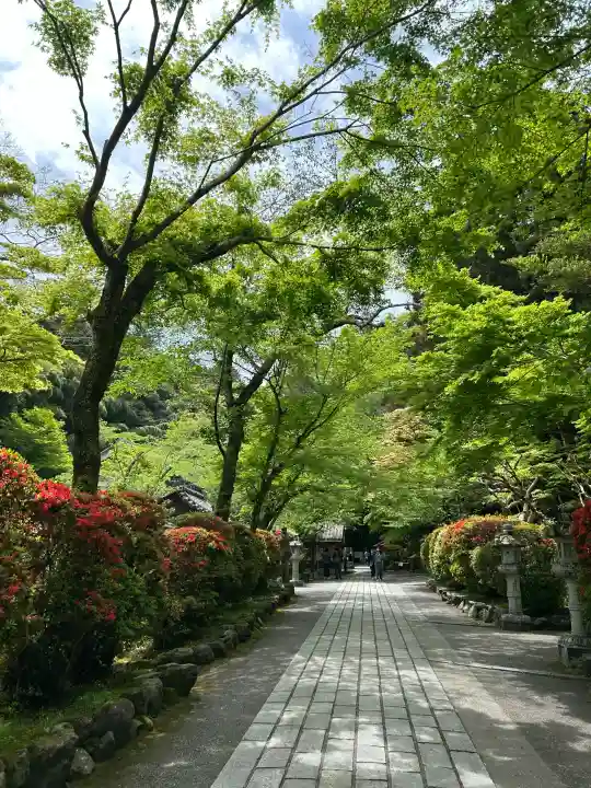 石山寺の{uncategorized: "未分類", other: "その他", undefined: "問題あり", building: "その他建物", grave: "お墓", sacred_gate: "鳥居", guardian: "狛犬", statue: "像", buddha: "仏像", history: "歴史", nature: "自然", garden: "庭園", animal: "動物", pagoda: "塔", temizu: "手水舎", mountain_gate: "山門・神門", sanctuary: "本殿・本堂", subordinate: "末社・摂社", art: "芸術", scenery: "景色", jizo: "地蔵", ema: "絵馬", goshuin: "御朱印", omikuji: "おみくじ", items: "授与品その他", amulet: "お守り", goshuincho: "御朱印帳", eats: "食事", festival: "お祭り", votive_dance: "神楽", shichigosan: "七五三参", wedding: "結婚式", experience: "体験その他", initially: "初詣", around: "周辺", anti_infection: "感染症対策"}