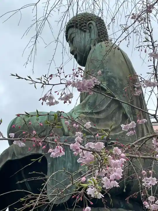 吉祥寺(東京都)