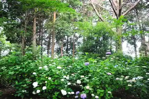 浄土寺(兵庫県)