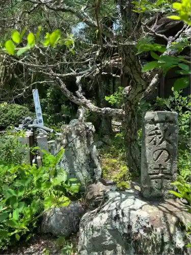 蓮華寺(静岡県)