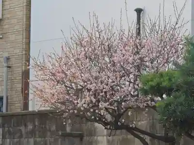 観月院真光寺(大阪府)