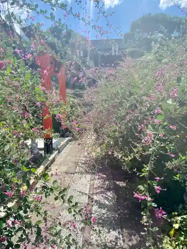 勝念寺（かましきさん）の自然