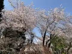 東雲寺の自然