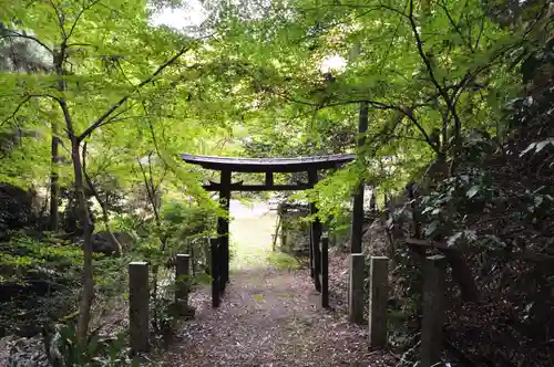 秋滝龍王神社(愛媛県)
