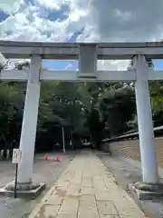 碑文谷八幡宮の鳥居