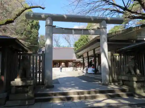 乃木神社の鳥居