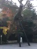 伊勢神宮外宮(豊受大神宮)の自然