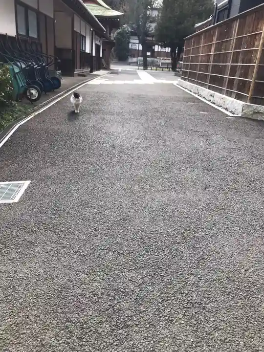 修広寺のその他建物