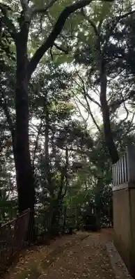 浅間神社(千葉県)